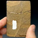 Boulder Opal - image 4