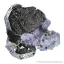 Bournonite on Fluorite - image 4