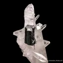 Bournonite on Quartz - image 6