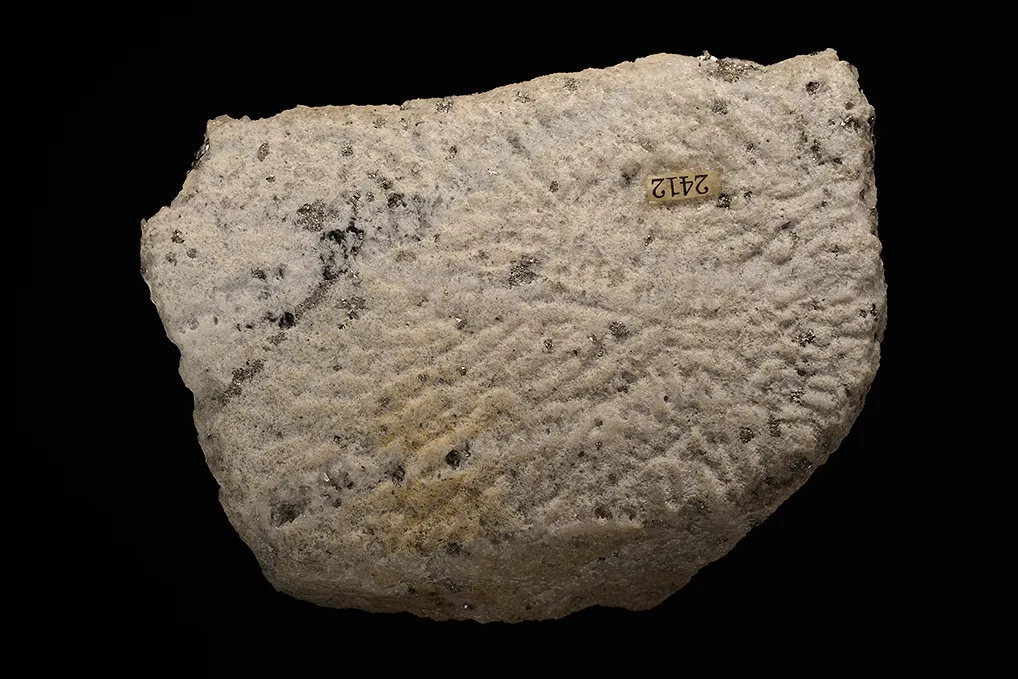 Bournonite on Quartz - image 6