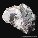 Bournonite (Twinned) with Chalcopyrite & Quartz - image 3