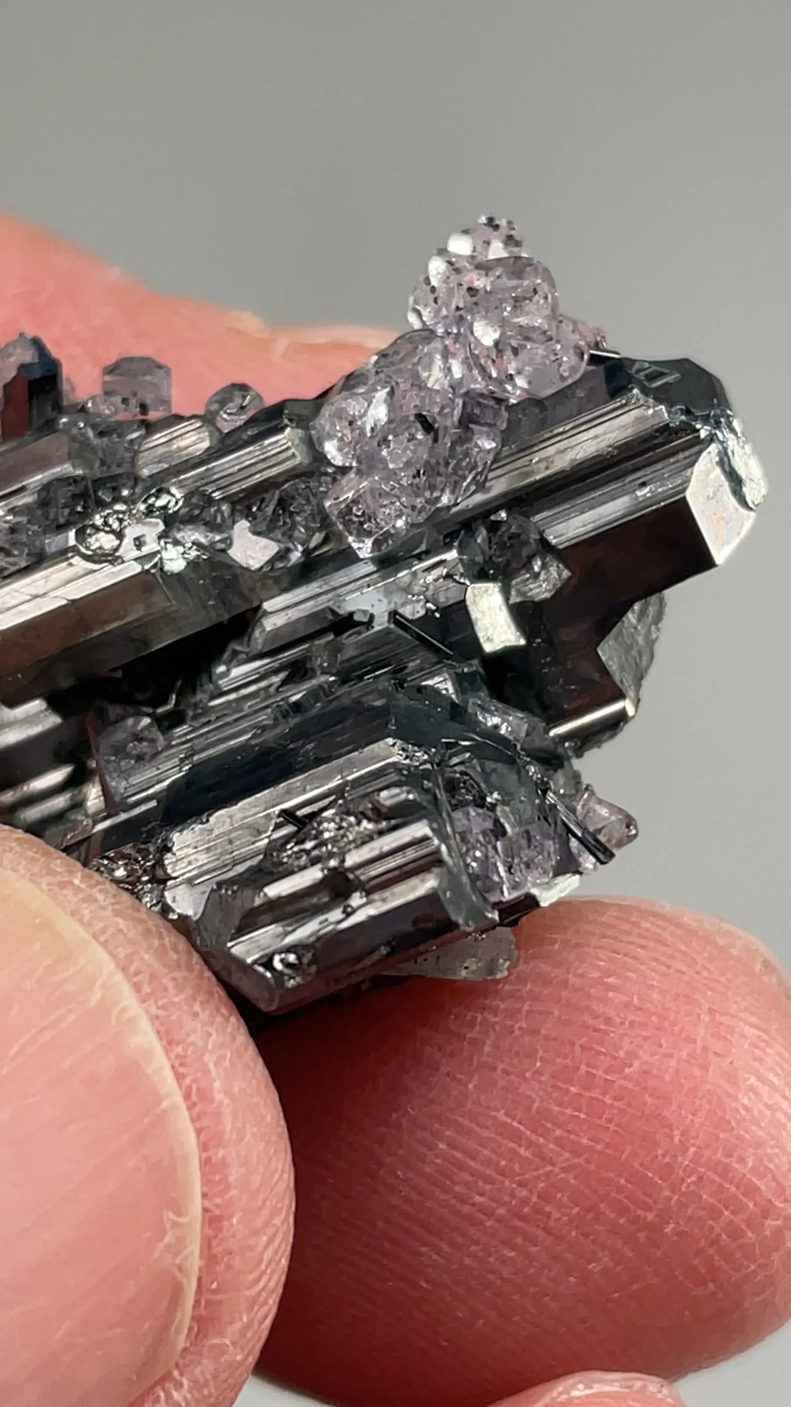 Bournonite with Fluorite - image 2