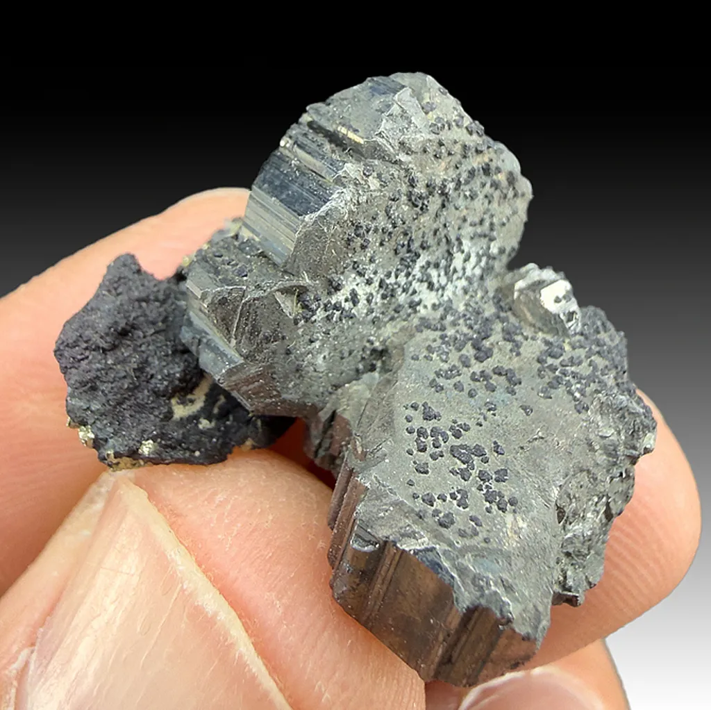 Bournonite with Pyrite image