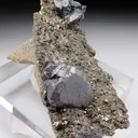 Bournonite with Pyrite - image 1