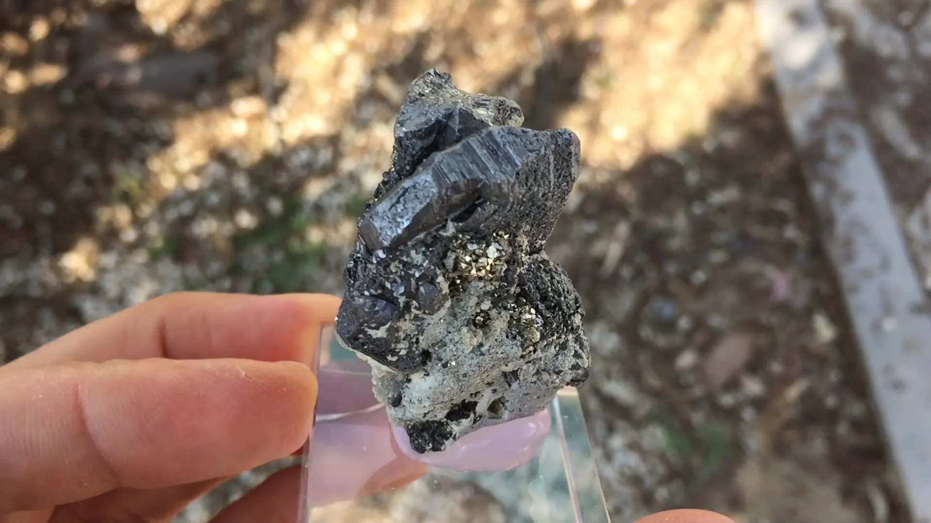 Bournonite with Pyrite - image 5