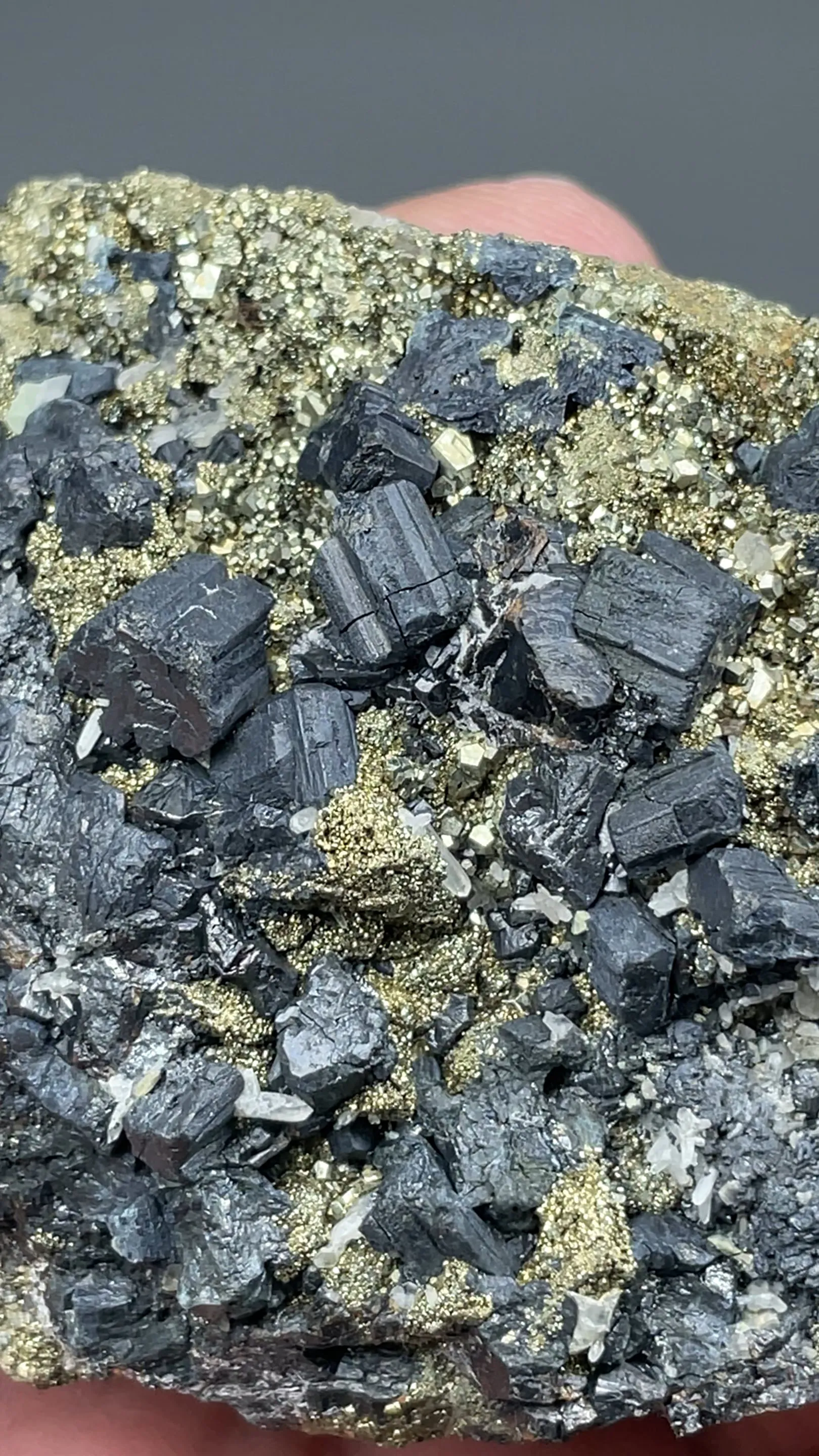 Bournonite with Pyrite - image 2