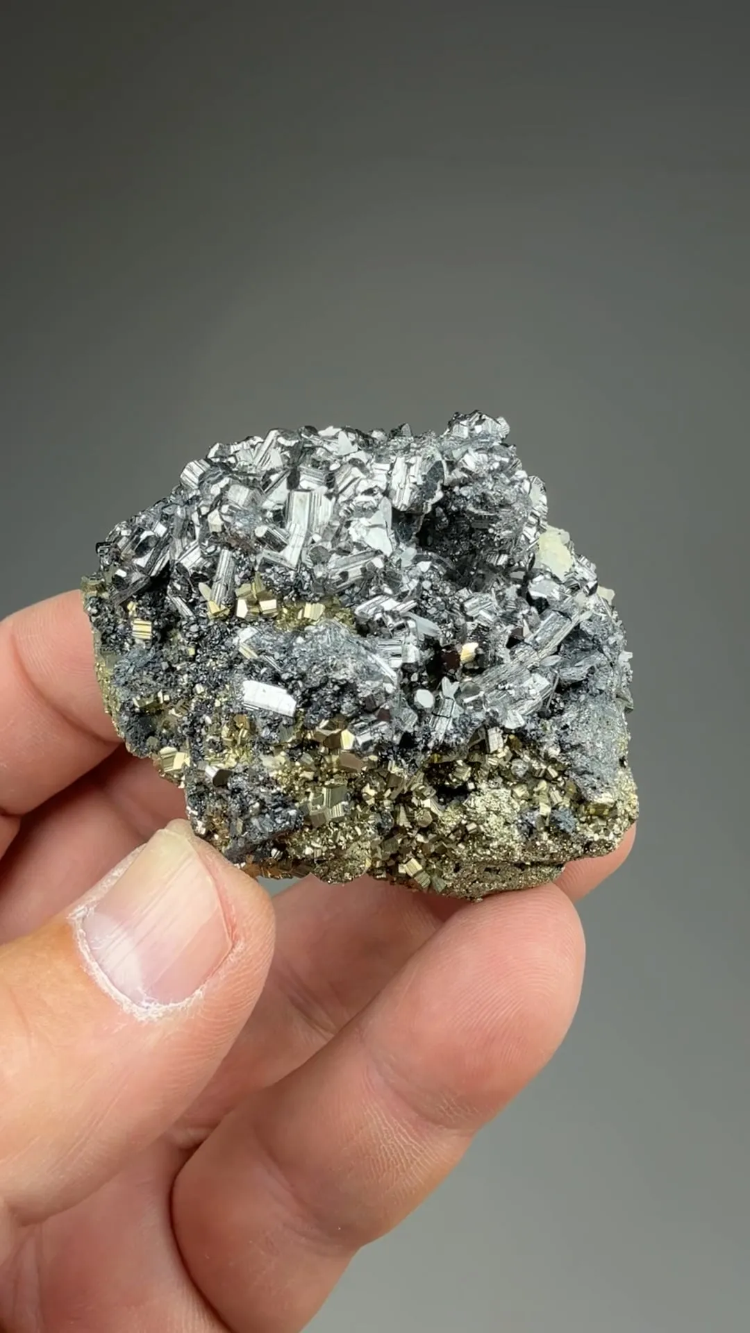 Bournonite with Pyrite - image 2