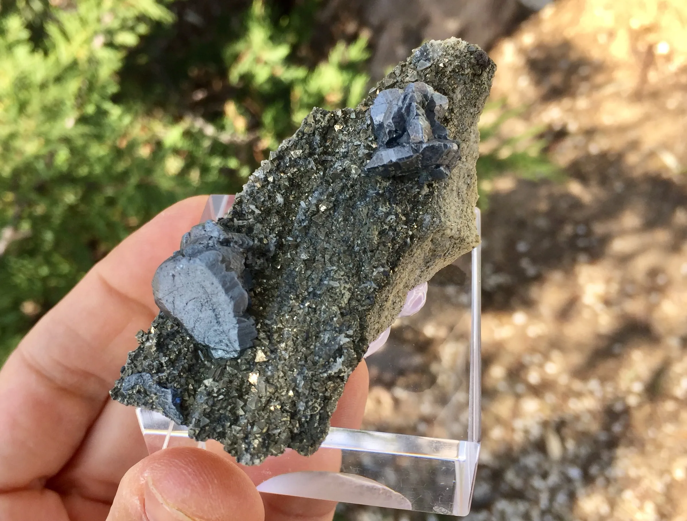 Bournonite with Pyrite - image 5