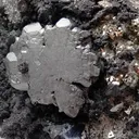 Bournonite with Pyrite - image 2