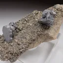 Bournonite with Pyrite - image 2