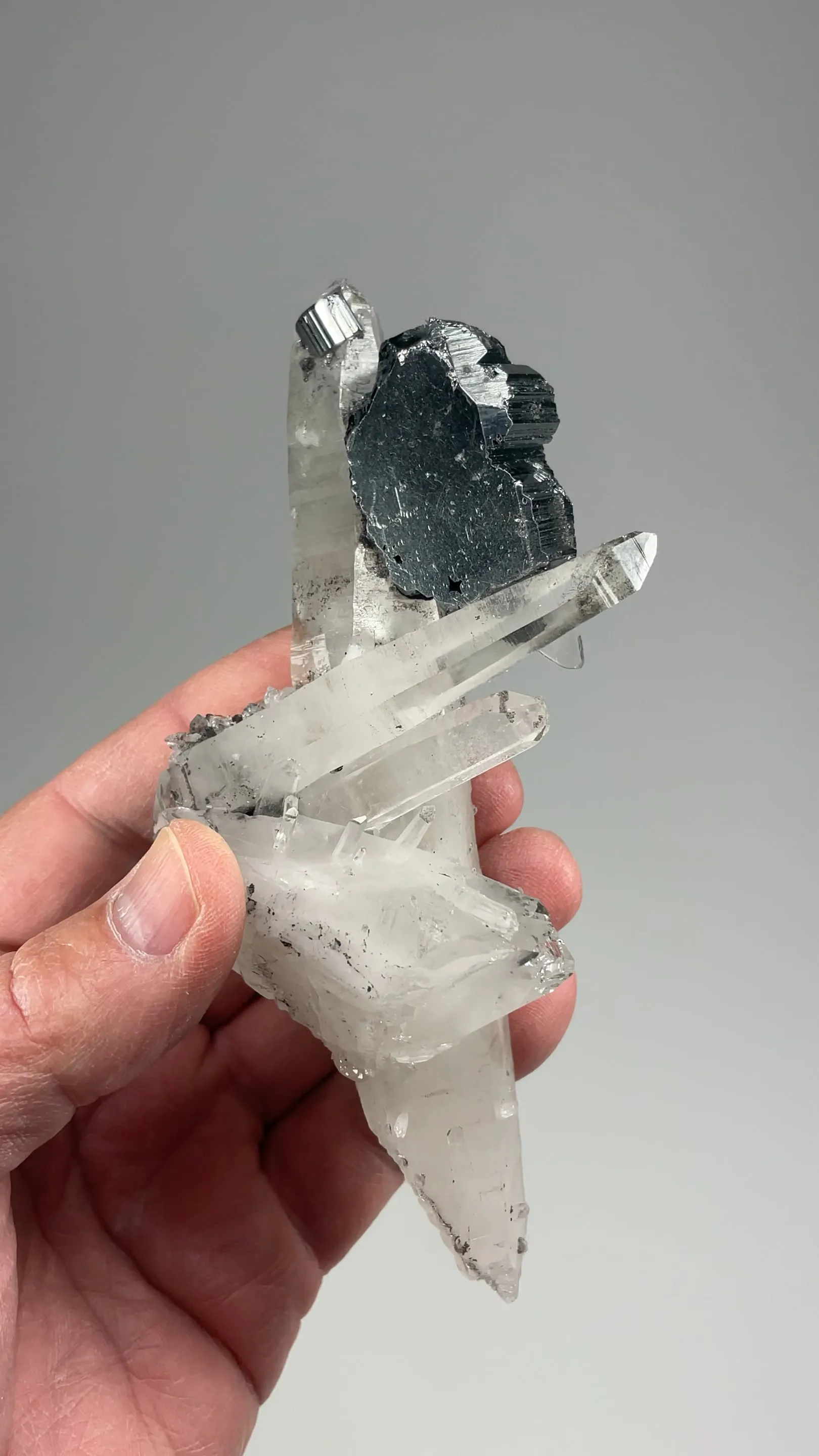 Bournonite with Quartz - image 2