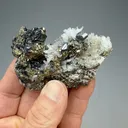 Bournonite with Quartz, Pyrite, Sphalerite - image 1
