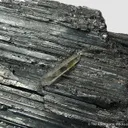 Bournonite with Quartz (recent elongated style) - image 8