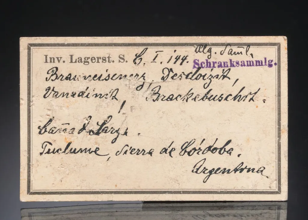 BRACKEBUSCHITE with Descloizite and Vanadinite