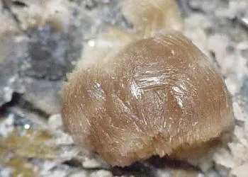 Brandtite image