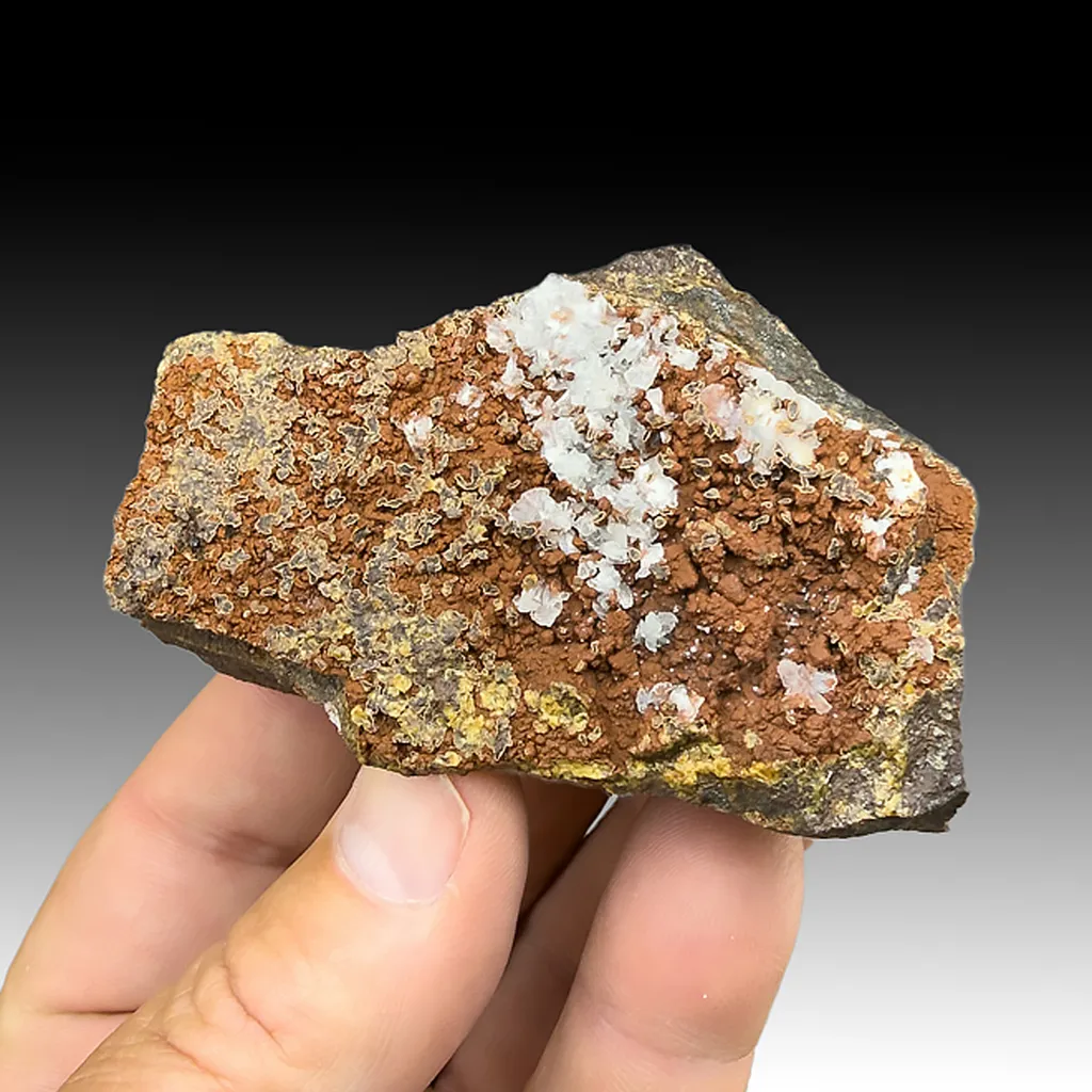 Brandtite with Caryopilite, Rhodonite, Hausmannite, Magnetite image