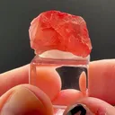 BRAZILIAN Rhodochrosite GLOW - image 1