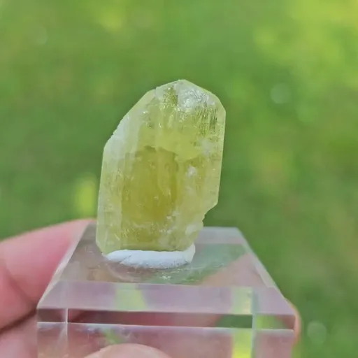 specimen video