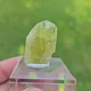 specimen video