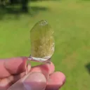 specimen video