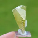 Brazilianite 21.7 grams - Linópolis, Divino das Laranjeiras, Minas Gerais, Brazil - image 8