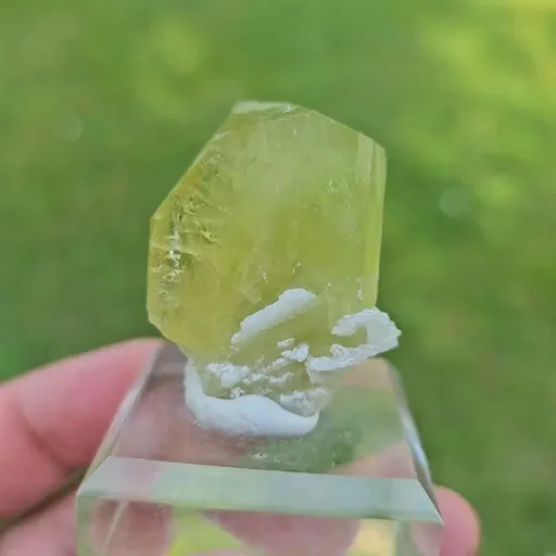 specimen video