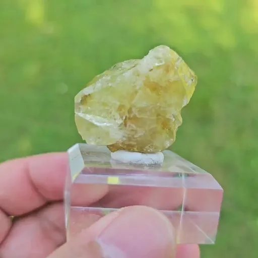specimen video