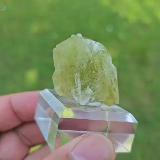 specimen video