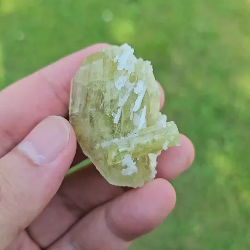 specimen video