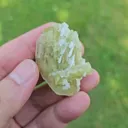 specimen video