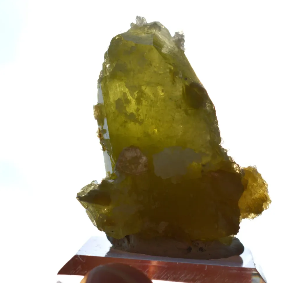 Brazilianite 43.1 grams - Linópolis, Divino das Laranjeiras, Minas Gerais, Brazil - image 7