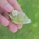 specimen video