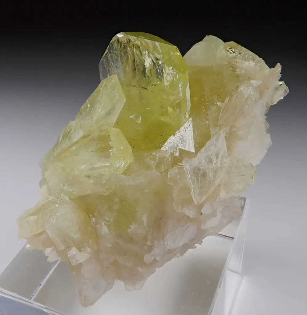 Brazilianite image