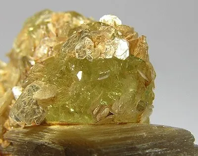 Brazilianite, Muscovite - image 1