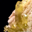 Brazilianite on Albite - image 1