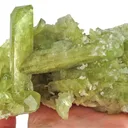 Brazilianite on Albite - image 1