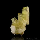 Brazilianite on Albite - image 2
