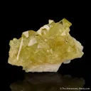 Brazilianite on Albite - image 2
