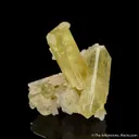 Brazilianite on Albite - image 1