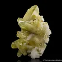 Brazilianite on Albite - image 1