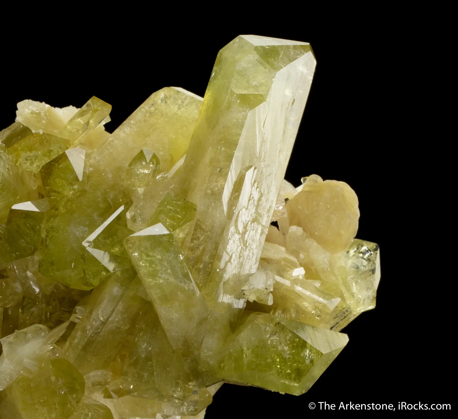 Brazilianite on Albite - image 4