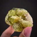 Brazilianite on Quartz - image 2