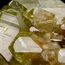 Brazilianite on Quartz - image 4