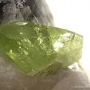 Brazilianite on Smoky Quartz - image 2