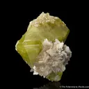 Brazilianite (type locality circa 1940s) on Muscovite - image 3