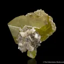 Brazilianite (type locality circa 1940s) on Muscovite - image 2