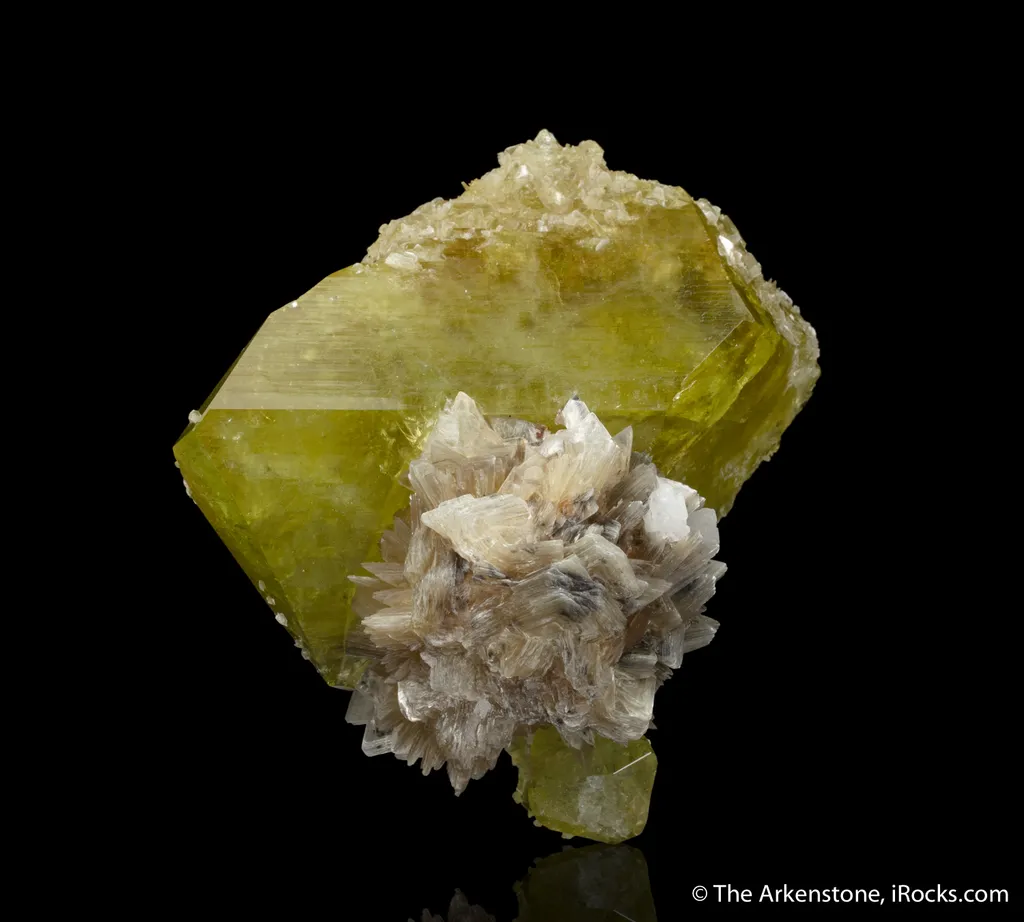 Brazilianite (type locality circa 1940s) on Muscovite image