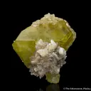 Brazilianite (type locality circa 1940s) on Muscovite - image 1