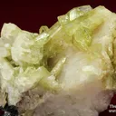 Brazilianite with Cassiterite, Albite, and Muscovite - image 3