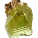 Brazilianite With Muscovite - image 2